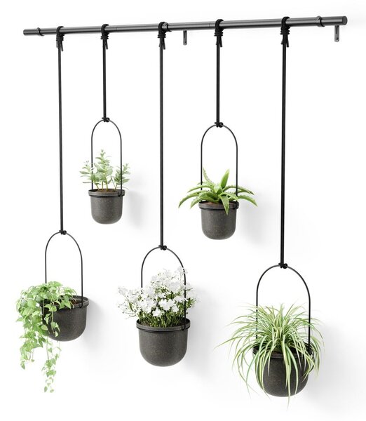 Műanyag kaspó szett 5 db-os fűszernövényekhez -függő ø 7,5 cm Triflora – Umbra