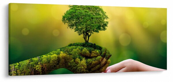 Kép - anyaország (120x50 cm)