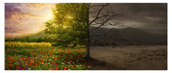Kép - Életciklus (120x50 cm)