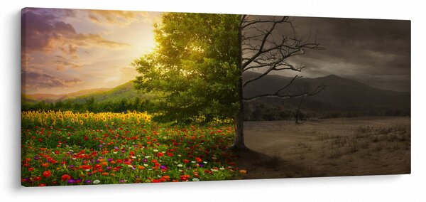Kép - Életciklus (120x50 cm)