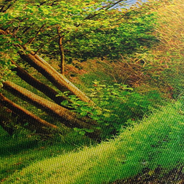 A víz menti sétányok képe (90x60 cm)