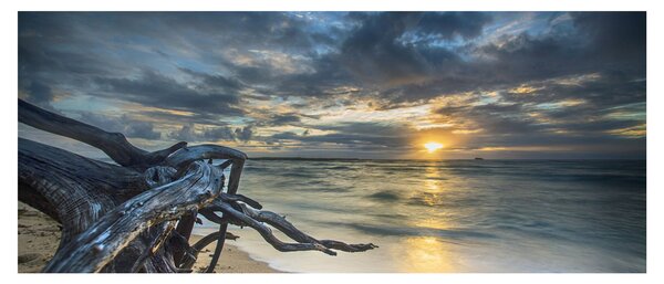 Tenger naplementekor képe (120x50 cm)