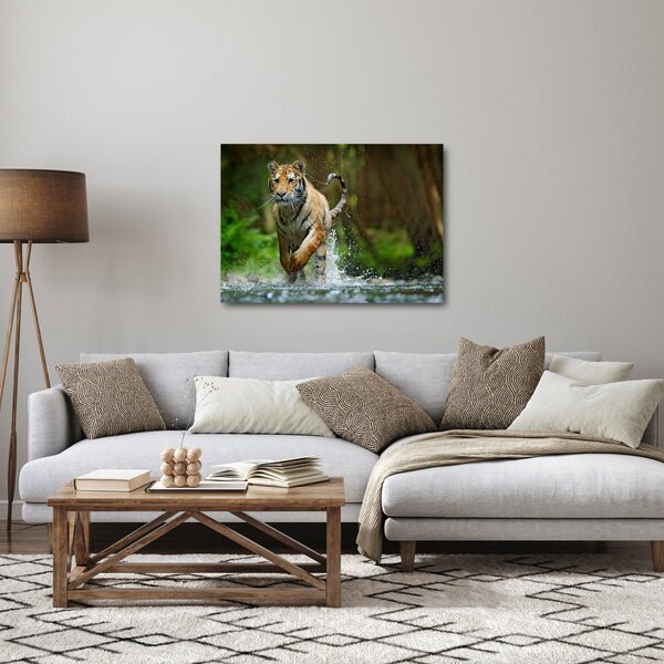 Futó tigris képe (70x50 cm)