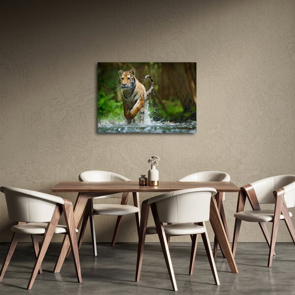Futó tigris képe (70x50 cm)