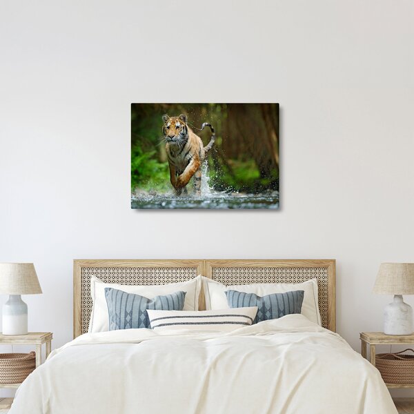 Futó tigris képe (70x50 cm)