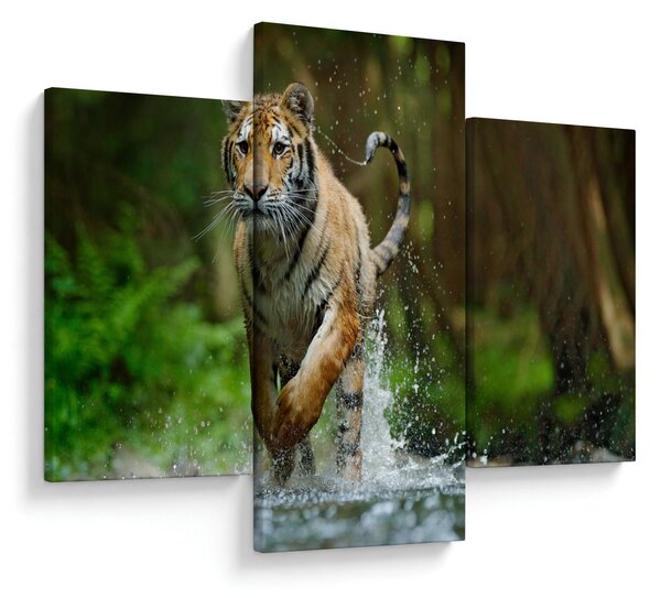 Futó tigris képe (90x60 cm)