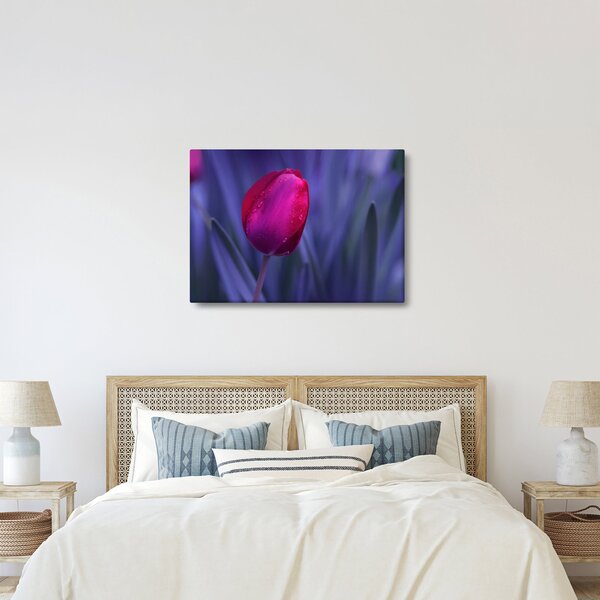 Tulipán bimbó képe (70x50 cm)