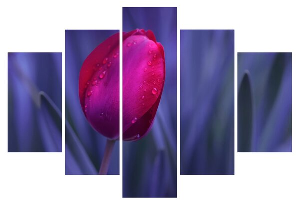 Tulipán bimbó képe (150x105 cm)