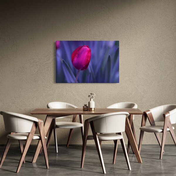 Tulipán bimbó képe (90x60 cm)