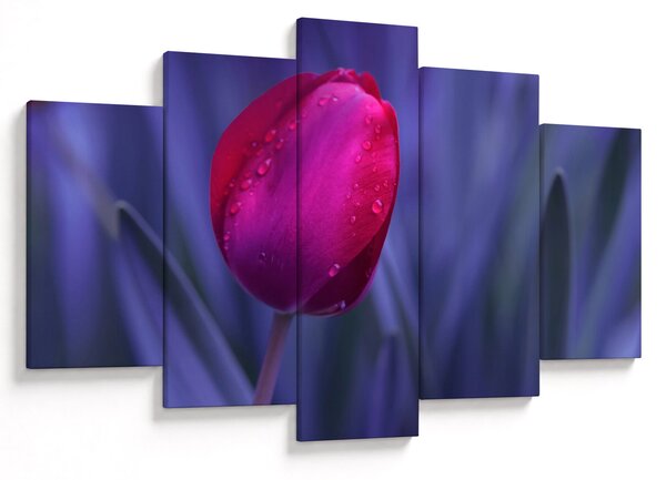 Tulipán bimbó képe (150x105 cm)