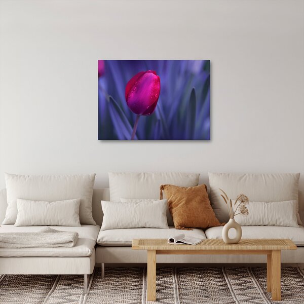 Tulipán bimbó képe (70x50 cm)