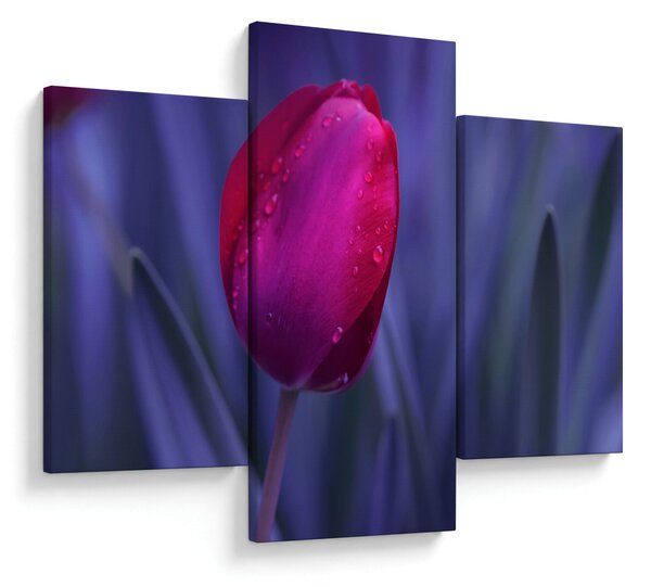 Tulipán bimbó képe (90x60 cm)