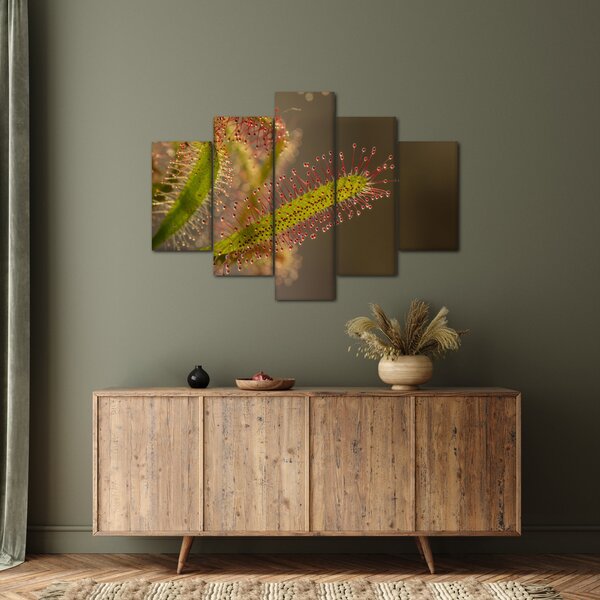 A növény képe (150x105 cm)