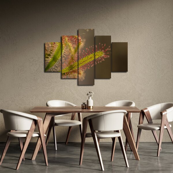 A növény képe (150x105 cm)