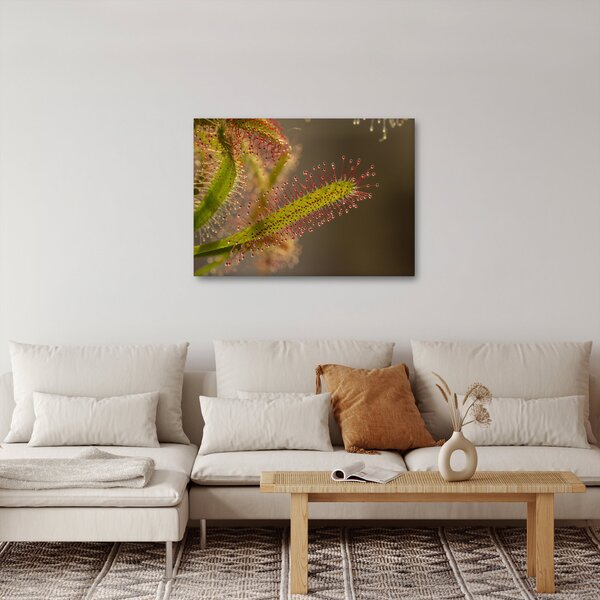 A növény képe (70x50 cm)