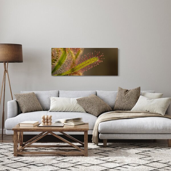 A növény képe (120x50 cm)
