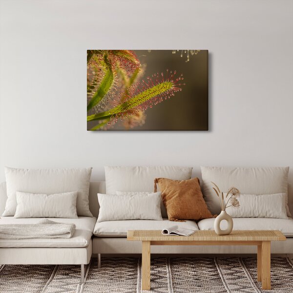 A növény képe (90x60 cm)