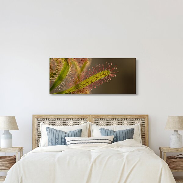 A növény képe (120x50 cm)