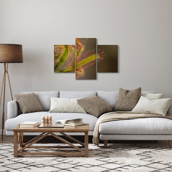 A növény képe (90x60 cm)