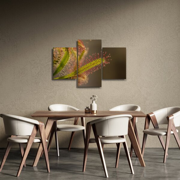 A növény képe (90x60 cm)
