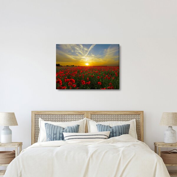 Egy kép a pipacs mezőről (70x50 cm)