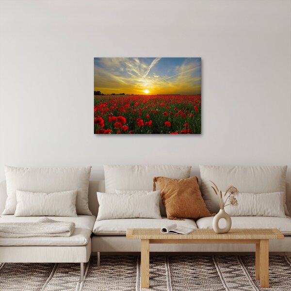 Egy kép a pipacs mezőről (70x50 cm)