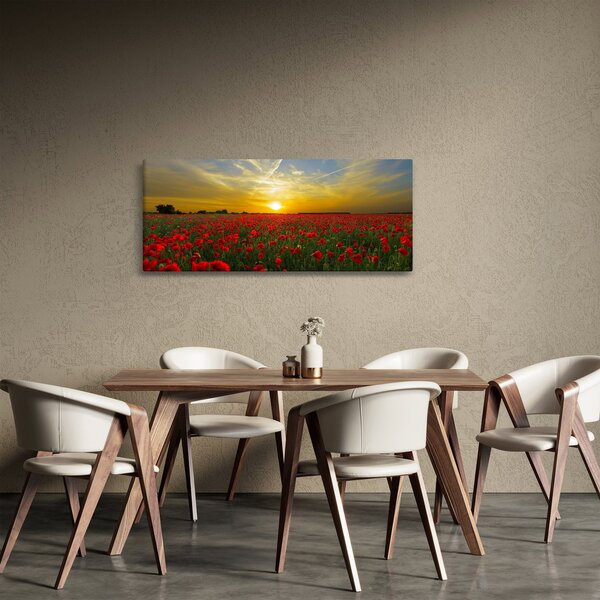 Egy kép a pipacs mezőről (120x50 cm)