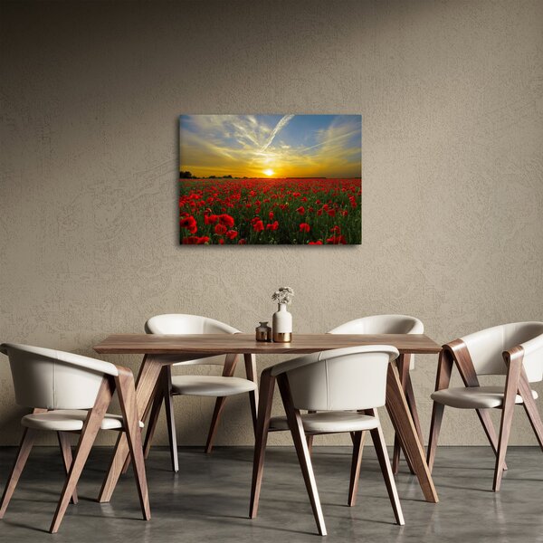 Egy kép a pipacs mezőről (70x50 cm)