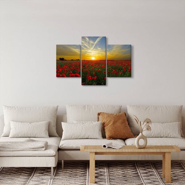 Egy kép a pipacs mezőről (90x60 cm)