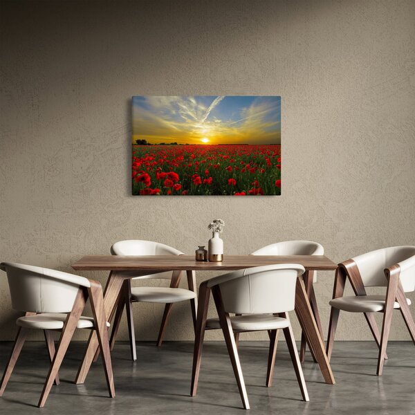 Egy kép a pipacs mezőről (90x60 cm)