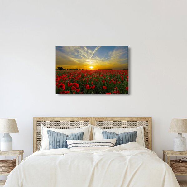 Egy kép a pipacs mezőről (90x60 cm)