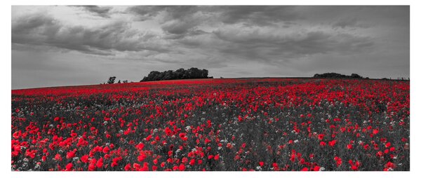 Pipacsos kép (120x50 cm)