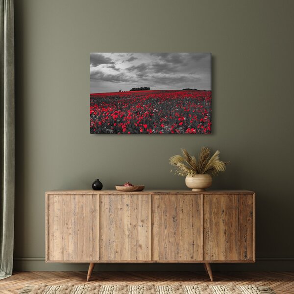 Pipacsos kép (90x60 cm)