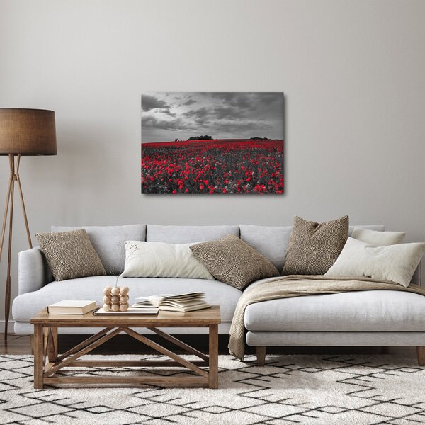 Pipacsos kép (70x50 cm)
