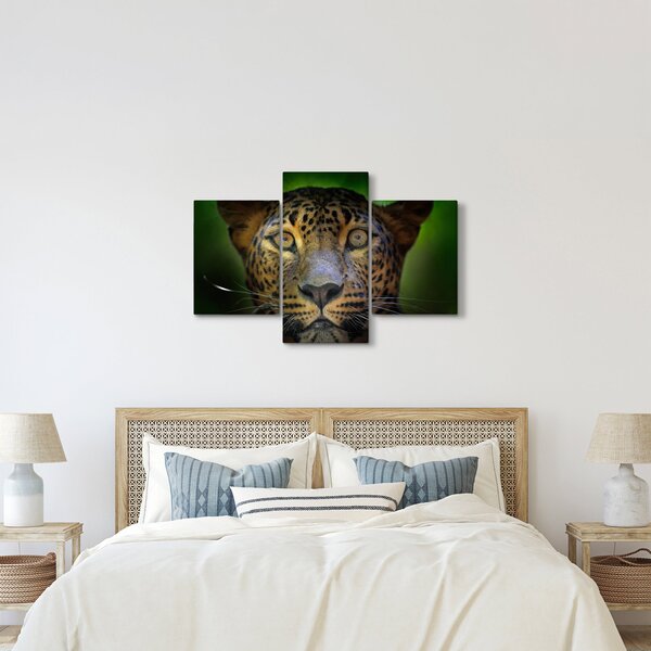 Kép - Leopárd portré, Sri Lanka (90x60 cm)