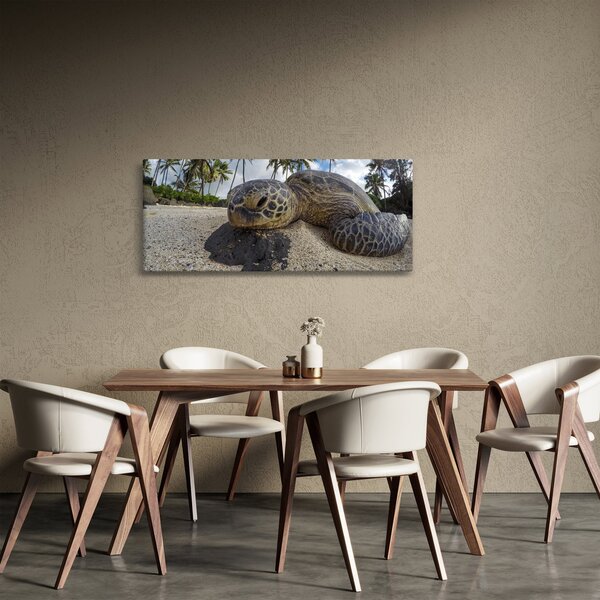 A teknős képe (120x50 cm)