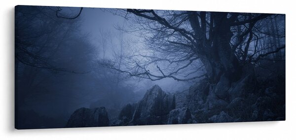 Egy sötét erdő képe (120x50 cm)