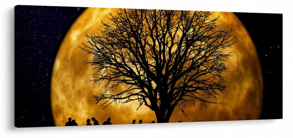 Holdok és sziluettek képe (120x50 cm)