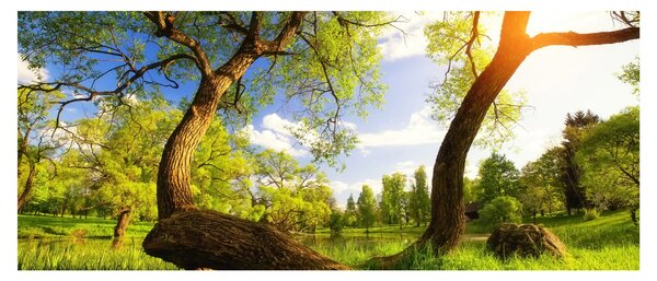 Kép egy tavaszi rétről (120x50 cm)