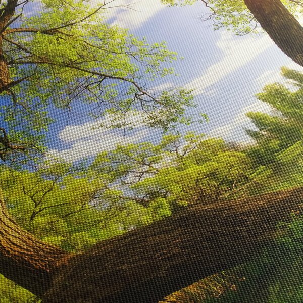Kép egy tavaszi rétről (120x50 cm)