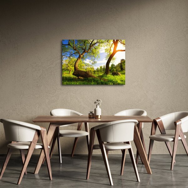 Kép egy tavaszi rétről (70x50 cm)