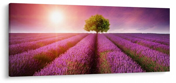 Levendula mező képe (120x50 cm)