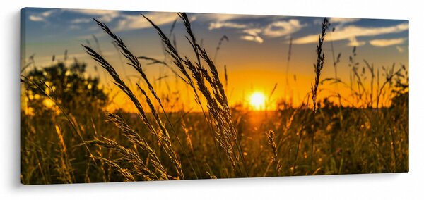 A mező naplementekor képe (120x50 cm)