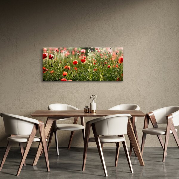 Pipacsok képe (120x50 cm)