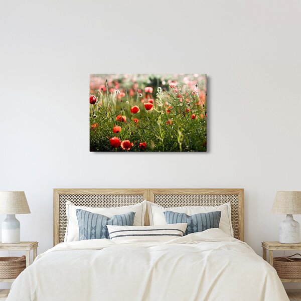 Pipacsok képe (90x60 cm)