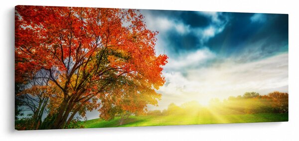 Napsütésben fürdő táj képe (120x50 cm)