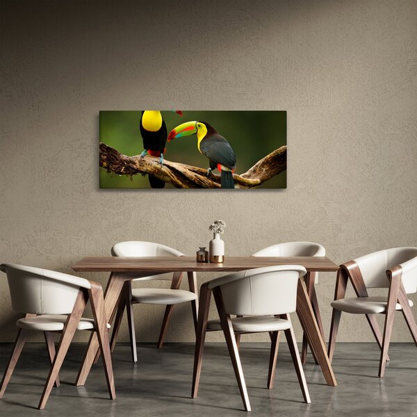Ülő tukánok képe, Costa Rica (120x50 cm)