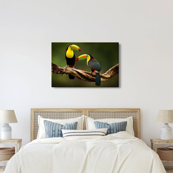 Ülő tukánok képe, Costa Rica (90x60 cm)