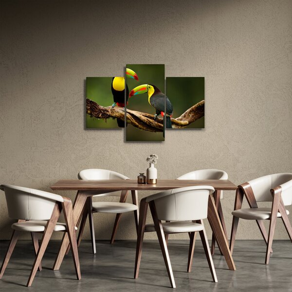 Ülő tukánok képe, Costa Rica (90x60 cm)