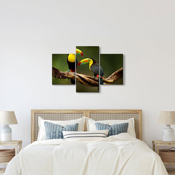 Ülő tukánok képe, Costa Rica (90x60 cm)